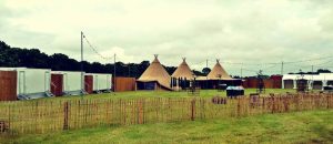 VIP Festival Area